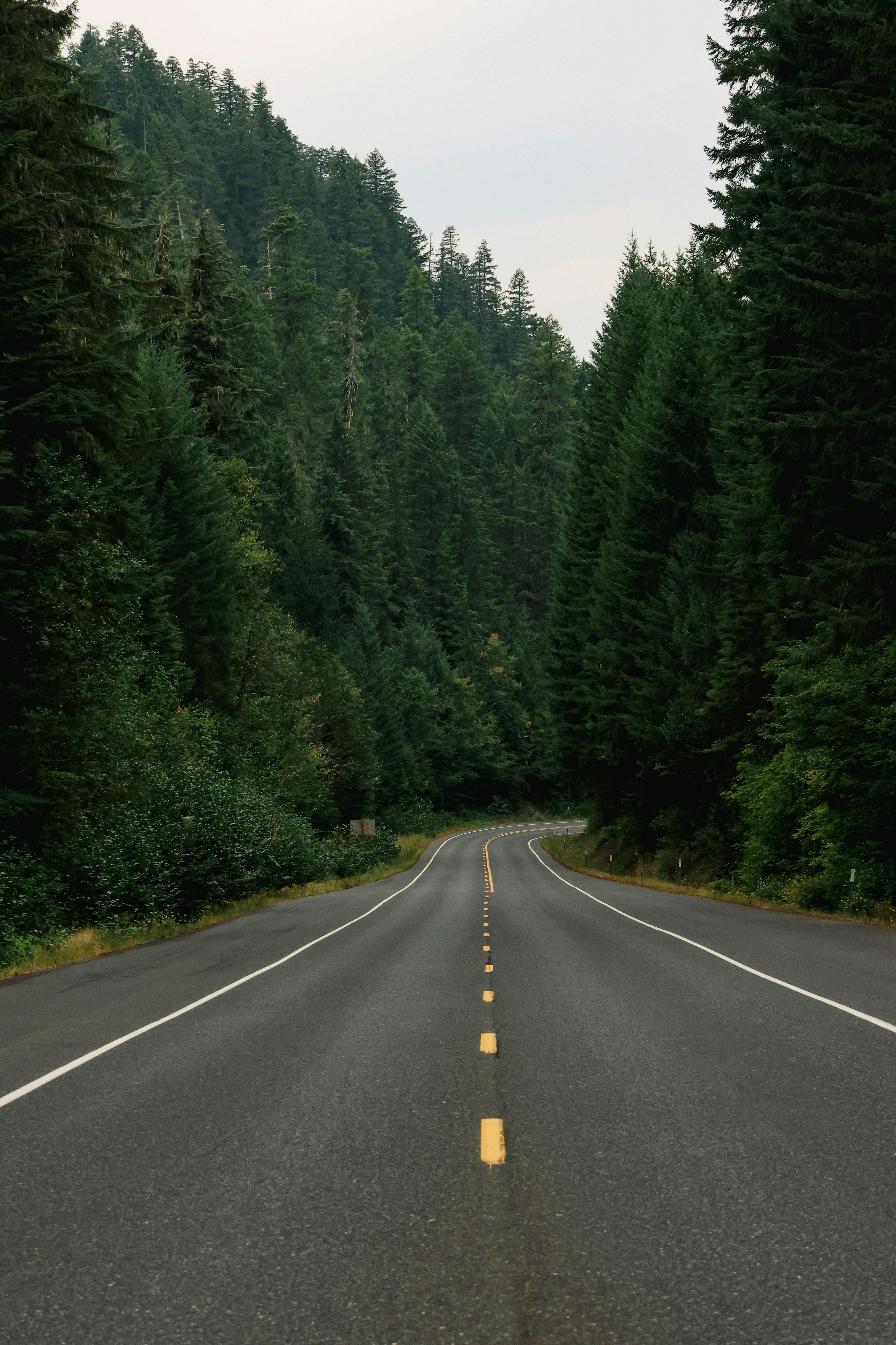 Substance Abuse Training